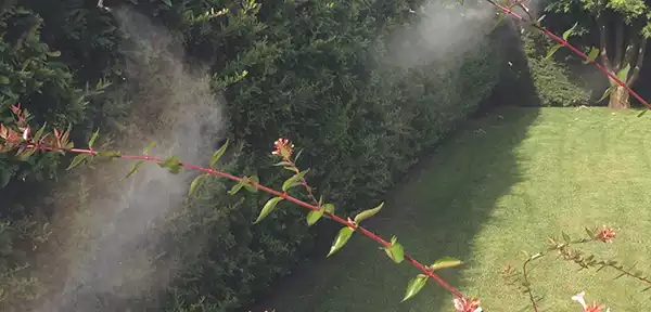 Impianto nebulizzazione da giardino antizanzara